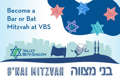 Volunteer Service Trip to Israel - Valley Beth Shalom